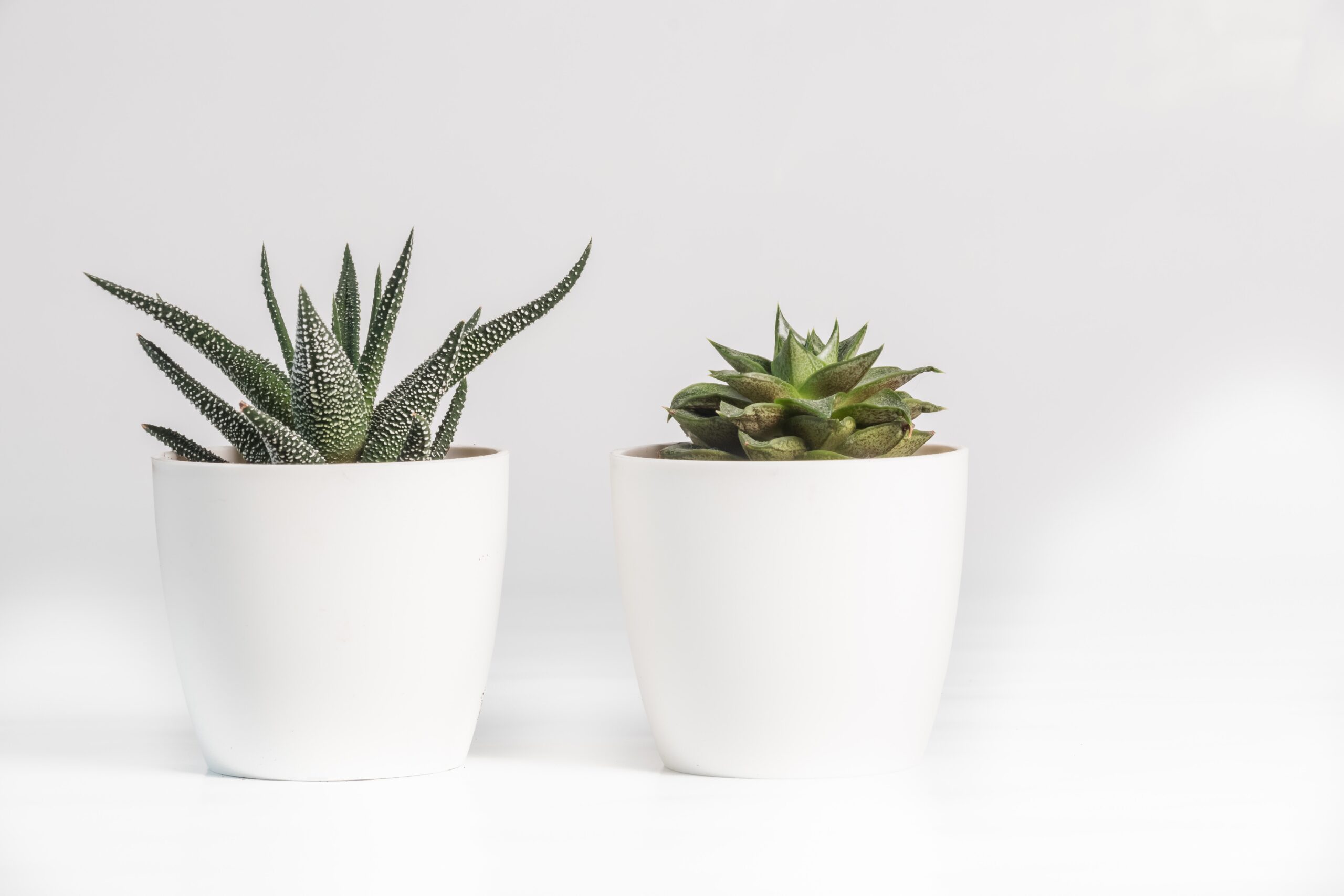 Fordele ved at vælge kunstige planter og blomster til dit næste arrangement